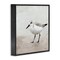 Stupell Industries Lone Sandpiper Bird Portrait Framed Giclee Art